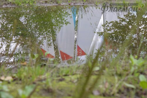 IMG_8319
